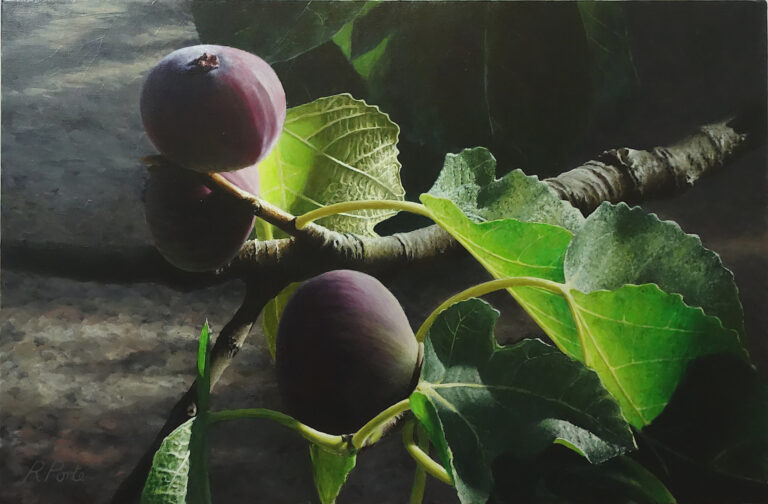 Acrylic realist painting on canvas of figs