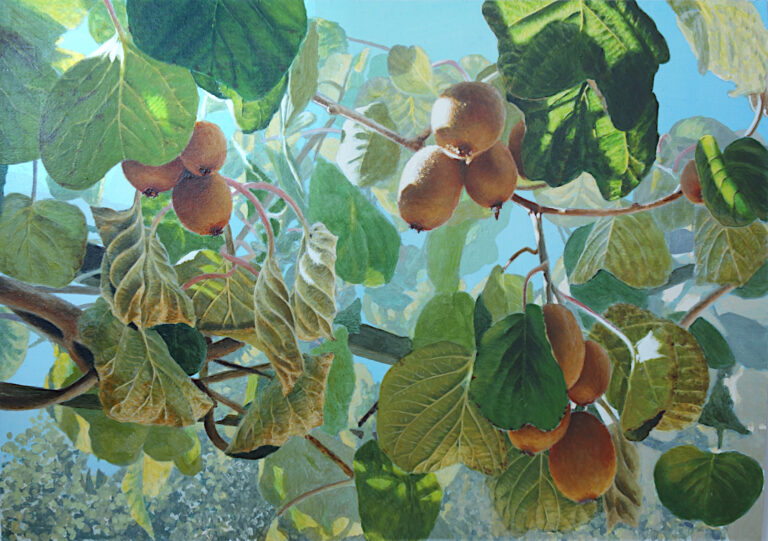 Acrylic realist painting of kiwis growing in sunshine